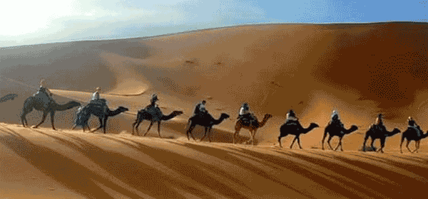 tour of rajasthan